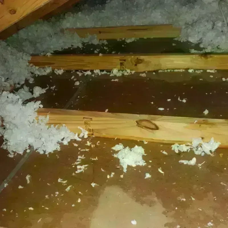 Attic Water Damage in Pomona, NY